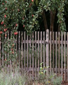 Scheerer Vorgartenzaun Altmark gerade Fichte grau 200 x 80 cm 