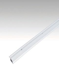 Meister Anpassungsprofil Typ 100 Silber eloxiert 2,70 m