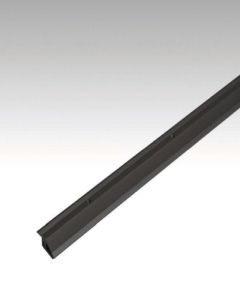 Meister Anpassungsprofil Typ 100 Schwarz eloxiert 2,70 m