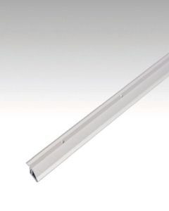 Meister Anpassungsprofil Typ 100 Edelstahl Oberfläche 2,70 m