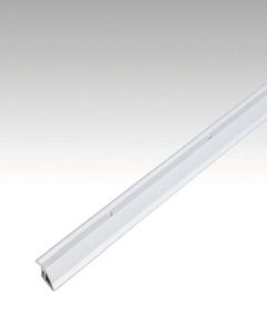 Meister Anpassungsprofil Typ 100 Silber eloxiert 1,00 m