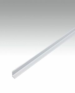 Meister Abschlussprofil Typ 300 SK Silber eloxiert