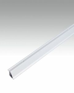 Meister Anpassungsprofil Typ 200 Silber eloxiert