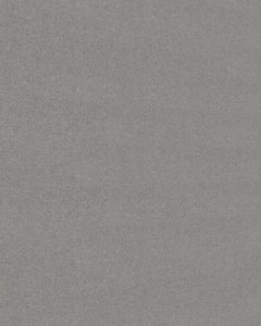 MeisterPaneele. bocado 4100 x 250 mm Vlies grau 20105