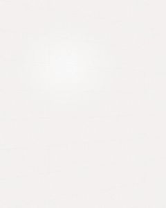 MeisterPaneele. terra 250 x 4100 mm Vintage white 20099