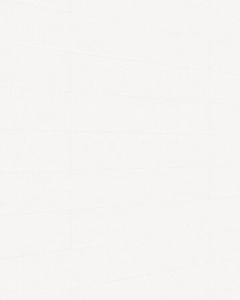 MeisterPaneele. bocado 1280 x 250 mm Softwood weiß 20103