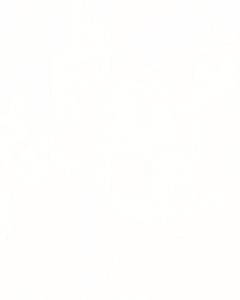 MeisterPaneele. tertio 200 x 1280 mm Swedish white 20128