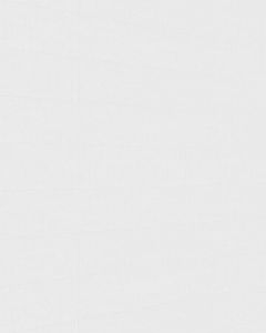 MeisterPaneele. bocado 4100 x 250 mm White wall 20126