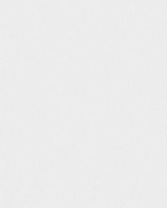 MeisterPaneele. terra 250 x 1280 mm White pearl 20097