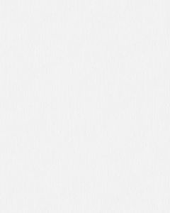 MeisterPaneele. terra 250 x 1280 mm Polar white 20096