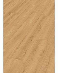 MeisterDesign.pro DD 250 Earth Oak 07450
