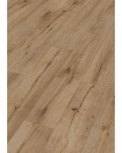 MeisterDesign.pro DD 250 Wild Oak 07452