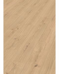 MeisterDesign.pro DD 250 Lakewood Oak natural 07456