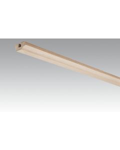 Meister Deckenabschlussleiste Buche pure 4094