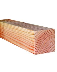 Scheerer Pfosten gerade gekappt Douglasie 