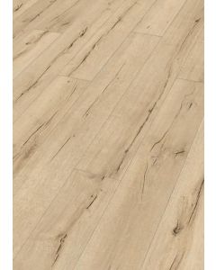 MeisterDesign. Next DL 500 S Altholzeiche hell 07139