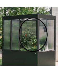 Rankhilfe für Gewächshaus Florentina 95700