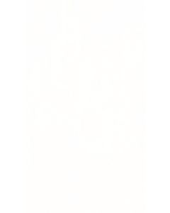 MeisterPaneele. tertio 200 x 1280 mm Swedish white 20128