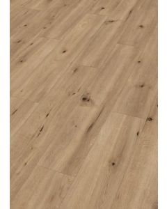 MeisterDesign. Next DD 500 S Feldeiche hell 06843