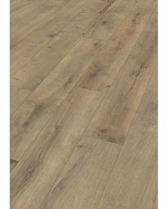 MeisterDesign. Next DD 500 S Risseiche Terra 06439