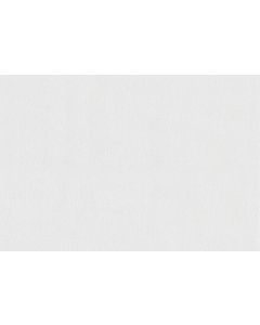 MeisterPaneele. terra 250 x 2050 mm White mesh 20101